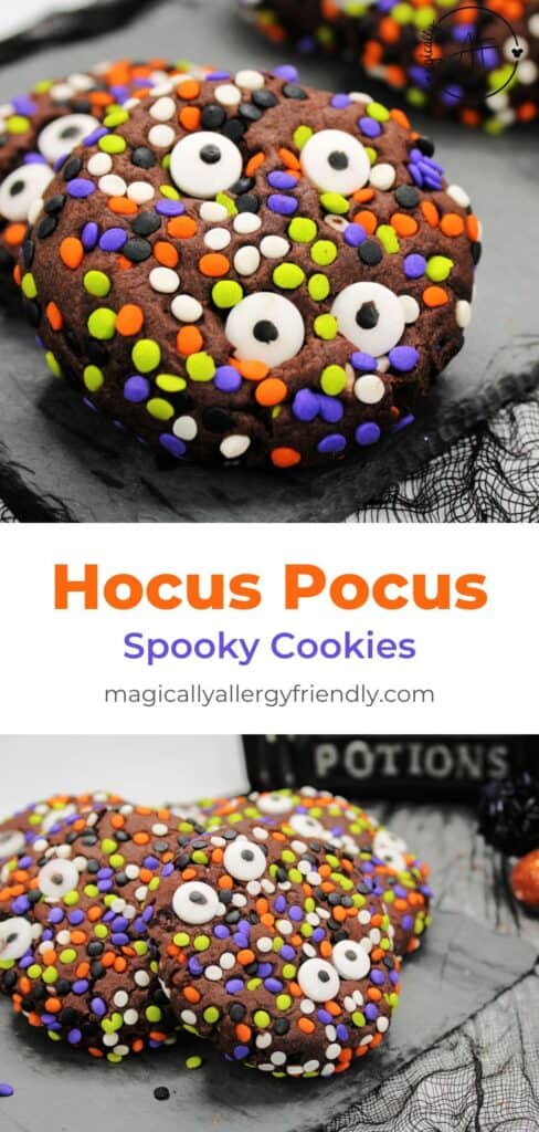 spooky hocus pocus pin image