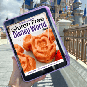 GF disney world ebook from Mouse Ear Memories